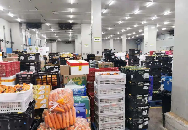 助力民生和医疗物资保供，太阳成集团tyc151cc抗疫救灾一直在线！